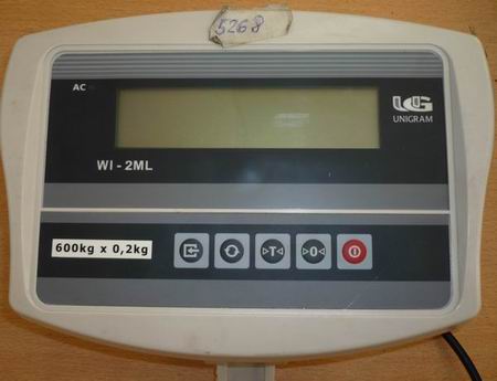 Весовой индикатор WI-2ML